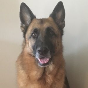 Meet your Posher, Ana